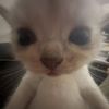 mariam02738