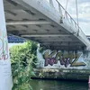 frankdunn44