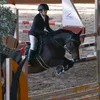 equ.rider.boy