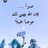user4590196747296