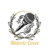 metoric_cover03