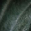 name_igl