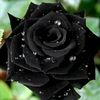 riena8443