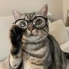 cattug