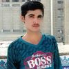 qurban.ali.06