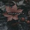 user8120100590417