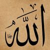 bavi638
