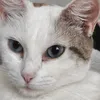 nina.gata74