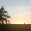 negayasmin4