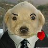 danielmendoza124