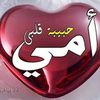 user62817736102834