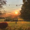country summer