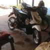 ripan6956