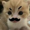 nummylol