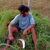 sapi_keren