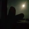 bornofunnyvideos