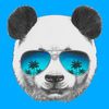 purplepanda256