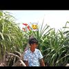 dinuka.sathsara14