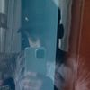 laur_663