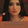 shaimaamahmoud4954