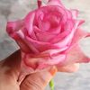 afiqul.islam13