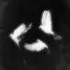 gwelsb