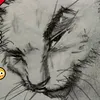gadzina1_