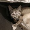 little._minka