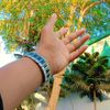 shehroz.qureshi49