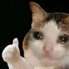 taobidiendaynha