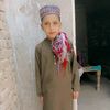 shawaizgill33
