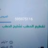 user5660324808404