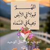 احمد محمد سعد سعيد الرشيدي