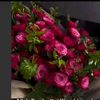 husbandkiladli08