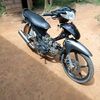 herdi.9182