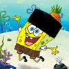 muhammad.alif9315