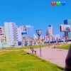 ali.adam4676