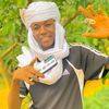 anwryahya4