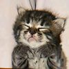 username0610212