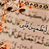 sohaib31orani