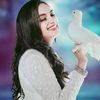 kepin.wonsan445