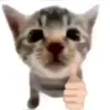 not_les1