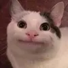 tato_schmato7878