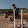 horses.dont.hurt.us