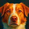 adoteiobuddy