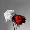 kashaf.azizur.rah
