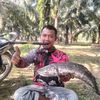 hari.hari.mancing29