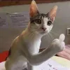 toiyeuanhnhieeu