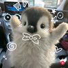 yukipli.nduttt