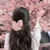 medinasylejmani4